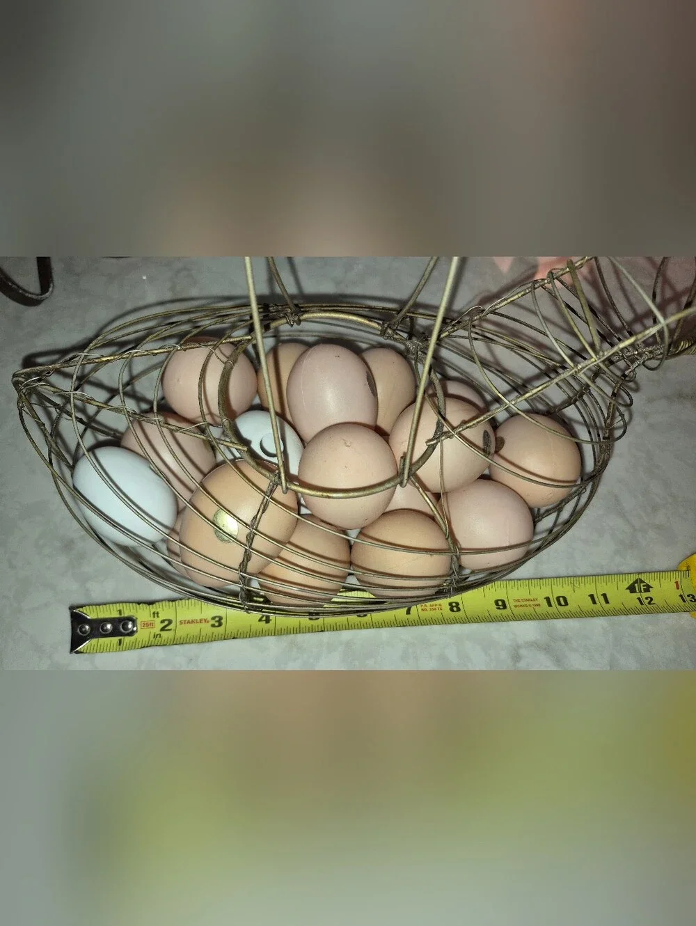Vintage-style wire egg basket is shaped like a hen